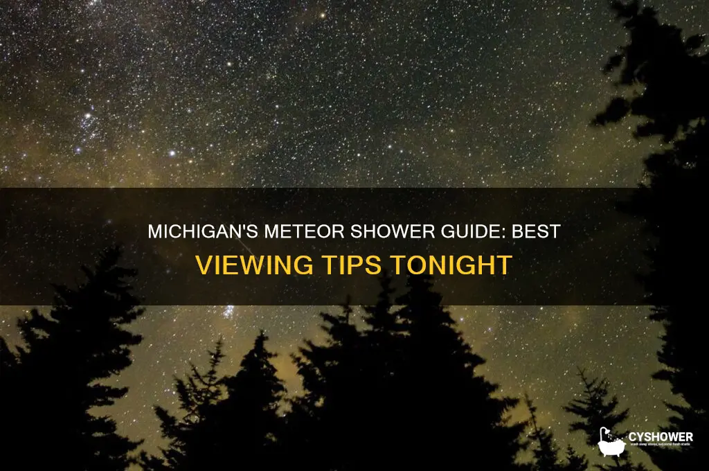 how to see the meteor shower from michigan tonight