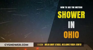 Ohio's Night Sky: Tips to Spot the Meteor Shower
