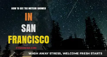 Stargazing in the City: Tips for Viewing San Francisco's Meteor Shower