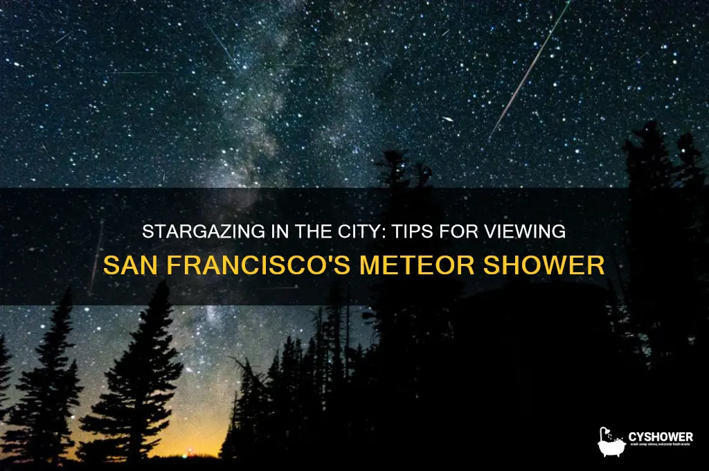 how to see the meteor shower in san francisco
