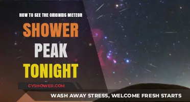 Catch the Orionids Meteor Shower Peak Tonight: A Stargazer's Guide
