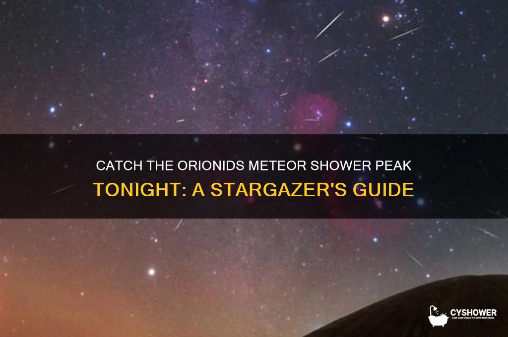 how to see the orionids meteor shower peak tonight