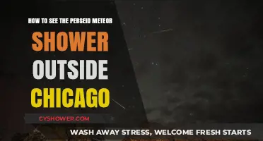 Best Spots Near Chicago to Watch the Perseid Meteor Shower