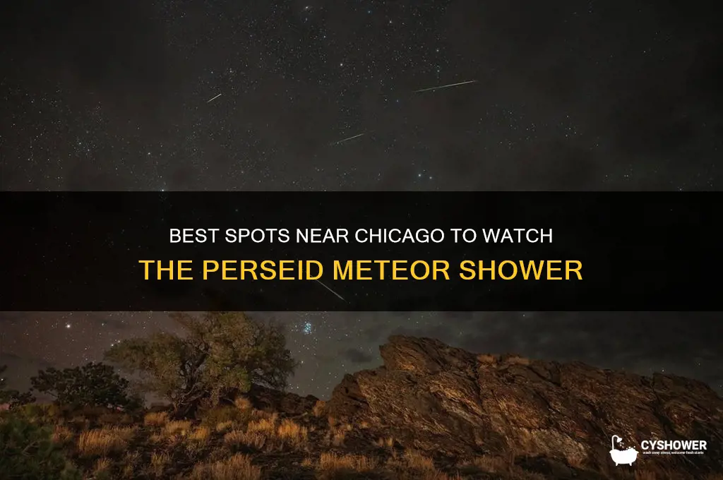 how to see the perseid meteor shower outside chicago