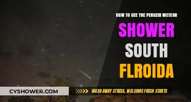 Best Spots to Watch Perseid Meteor Shower in South Florida