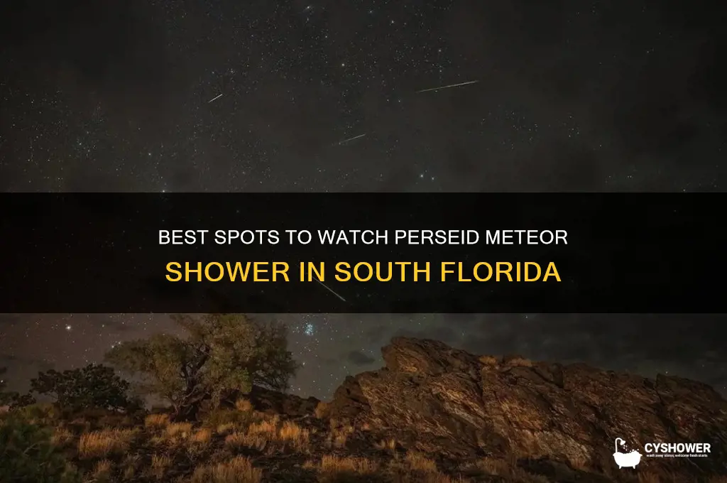 how to see the perseid meteor shower south flroida