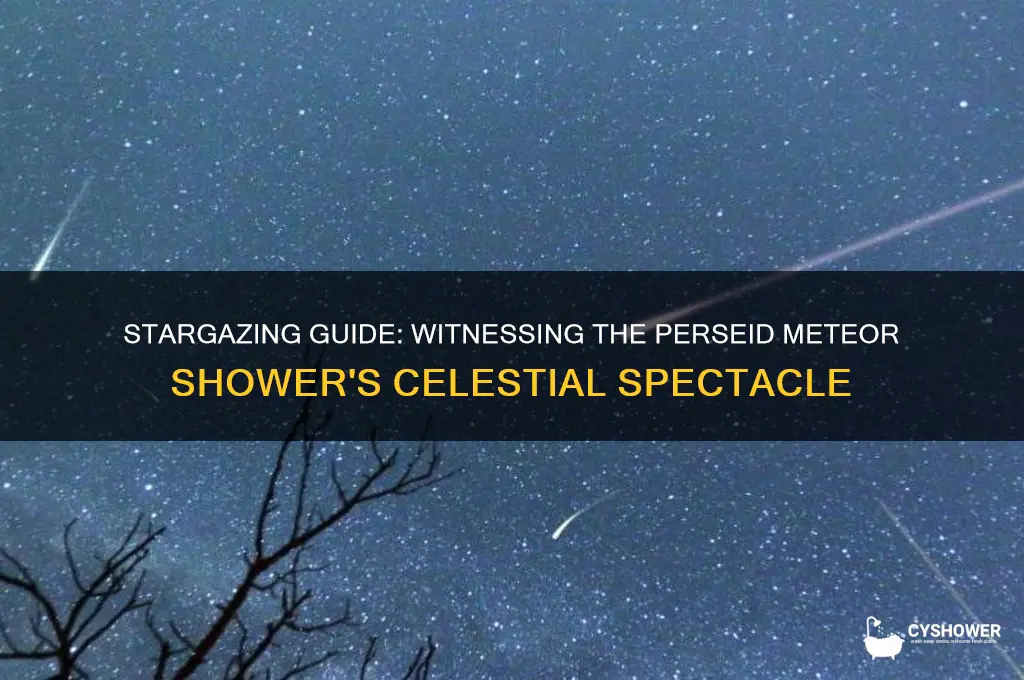 how to see the persoid meteor shower