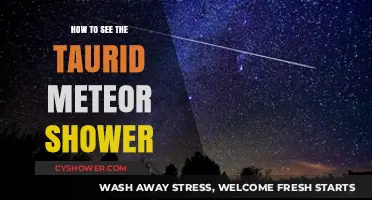 Catch the Taurid Meteor Shower: Tips for Stunning Night Sky Views