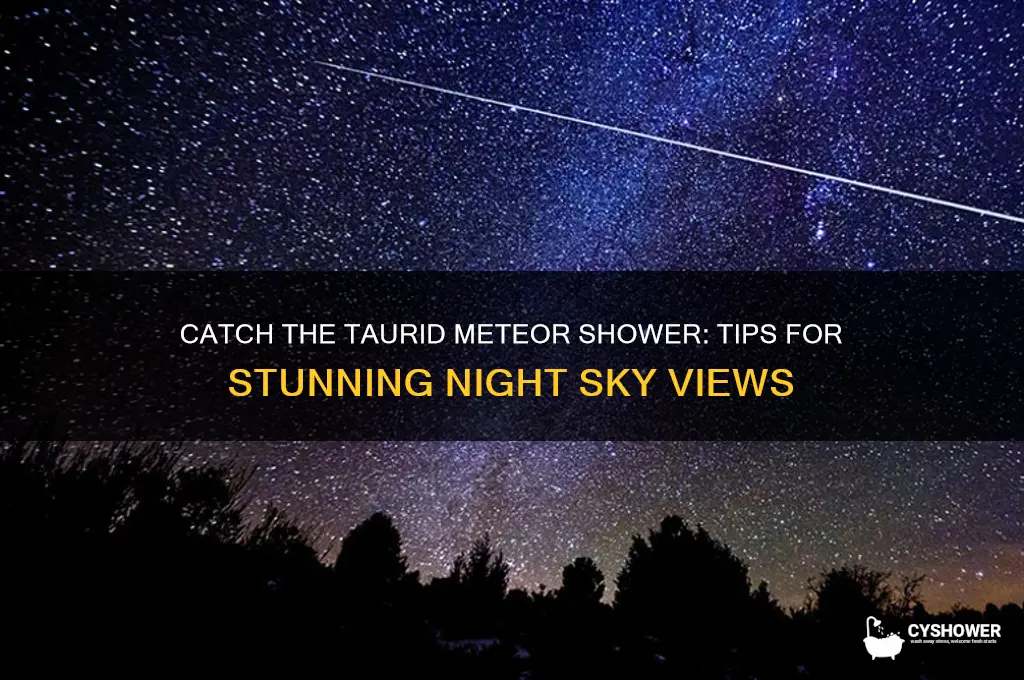 how to see the taurid meteor shower