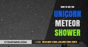 Spotting the Unicorn Meteor Shower: A Celestial Guide for Stargazers