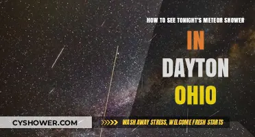 Dayton's Night Sky: Tips to Spot Tonight's Meteor Shower
