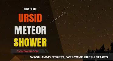 Catch the Ursid Meteor Shower: Tips for a Stunning Night Sky