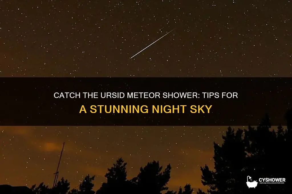 how to see ursid meteor shower