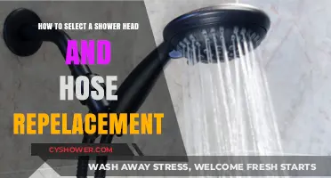 Choosing the Perfect Shower Head and Hose Replacement: A Complete Guide