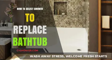 Upgrade Your Bathroom: Tips for Choosing the Perfect Shower to Replace Your Bathtub