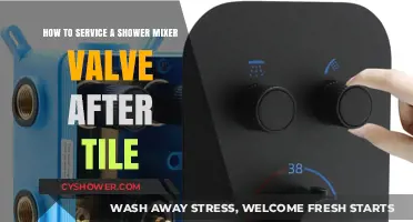 Post-Tile Shower Mixer Valve Servicing: A Step-by-Step DIY Guide