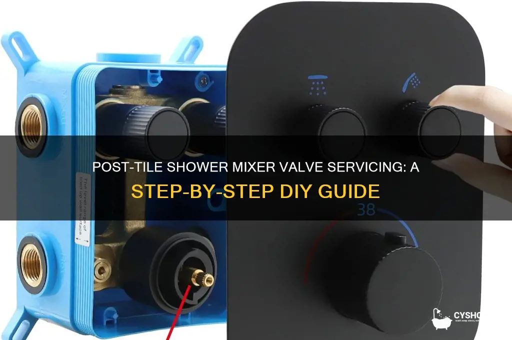 how to service a shower mixer valve after tile