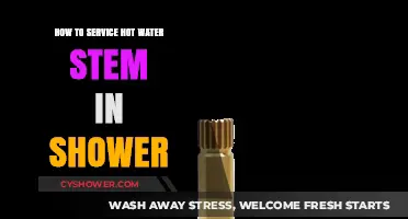 Easy Steps to Service Your Shower's Hot Water Stem