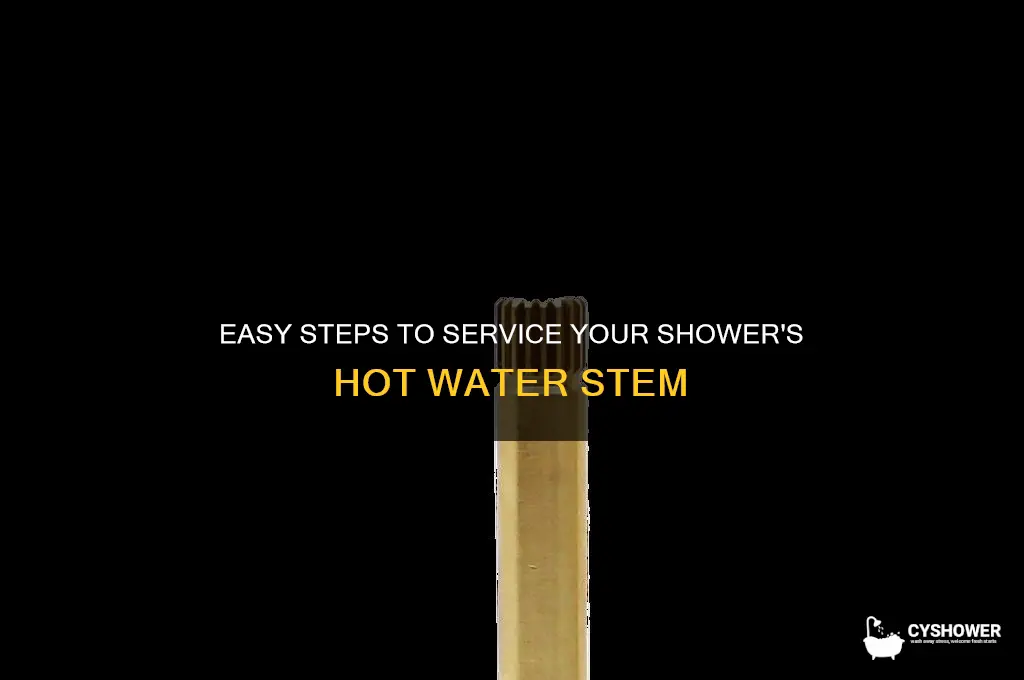 how to service hot water stem in shower
