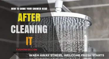 Sparkling Shower Head: Easy Post-Cleaning Shine Tips and Tricks