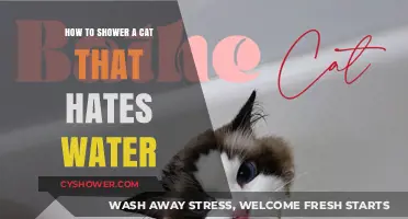 Mastering the Art of Bathing a Water-Hating Cat: Tips and Tricks