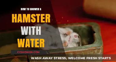 Gentle Hamster Bathing Guide: Water Tips for Your Tiny Pet