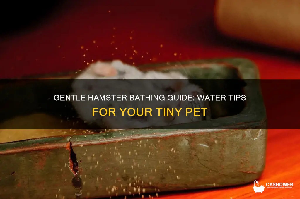 how to shower a hamster with water