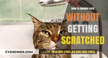 Mastering the Art of Cat Bathing: Scratch-Free Shower Tips