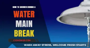 Stay Clean During a Water Main Break: Quick Shower Solutions