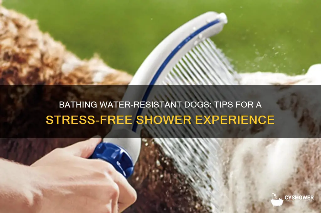 how to shower water resistant dog