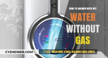 Eco-Friendly Hot Showers: Gas-Free Heating Solutions for Your Home