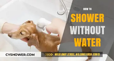 Eco-Friendly Alternatives: Mastering the Art of Waterless Showers