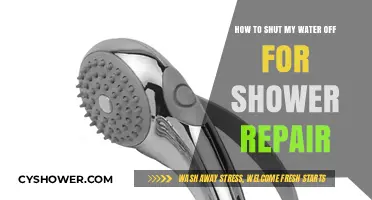 Quick Guide: Turning Off Water Supply for Shower Repairs