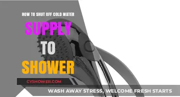 Quick Guide: Shutting Off Cold Water Supply to Your Shower