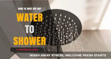 Quick Guide: Turning Off Hot Water Supply to Your Shower