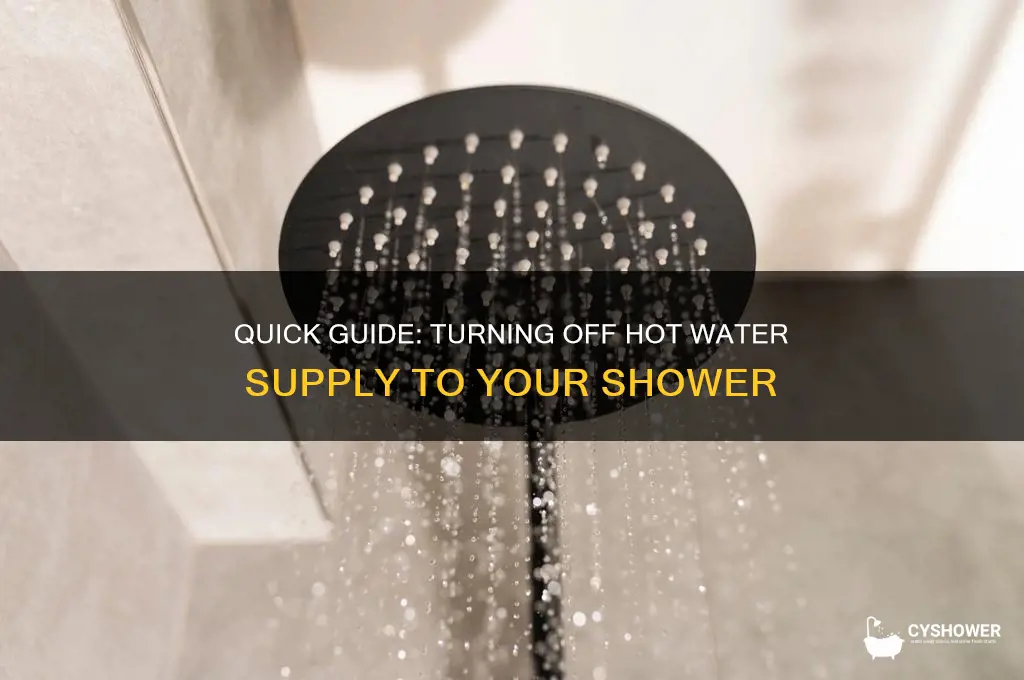 how to shut off hot water to shower
