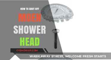 Quick Guide: Shutting Off Your Moen Shower Head Easily