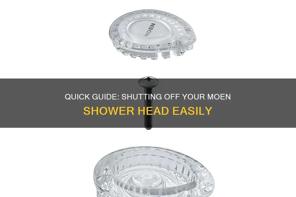 how to shut off moen shower head