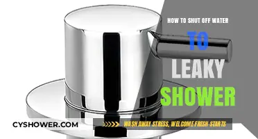 Quick Fix: How to Shut Off Water to a Leaky Shower