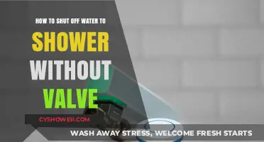 Quick Fix: Turning Off Shower Water Without a Valve