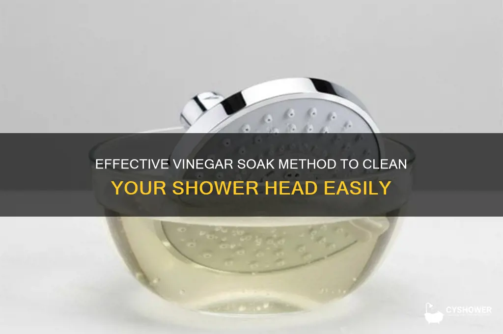 how to soak a shower head in vinegar