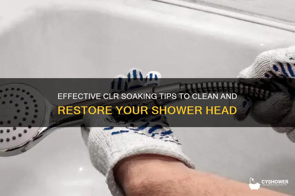 how to soak shower head in clr
