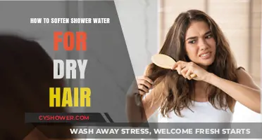 Softening Shower Water: Hydrate Dry Hair with These Simple Tips