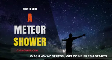 Stargazing Guide: Spotting Meteor Showers Like a Pro