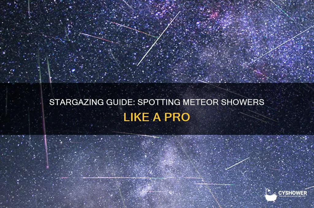 how to spot a meteor shower