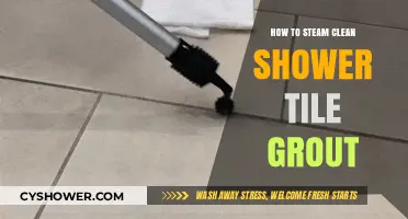 Effortless Grout Cleaning: Steam Clean Shower Tile Grout Like a Pro
