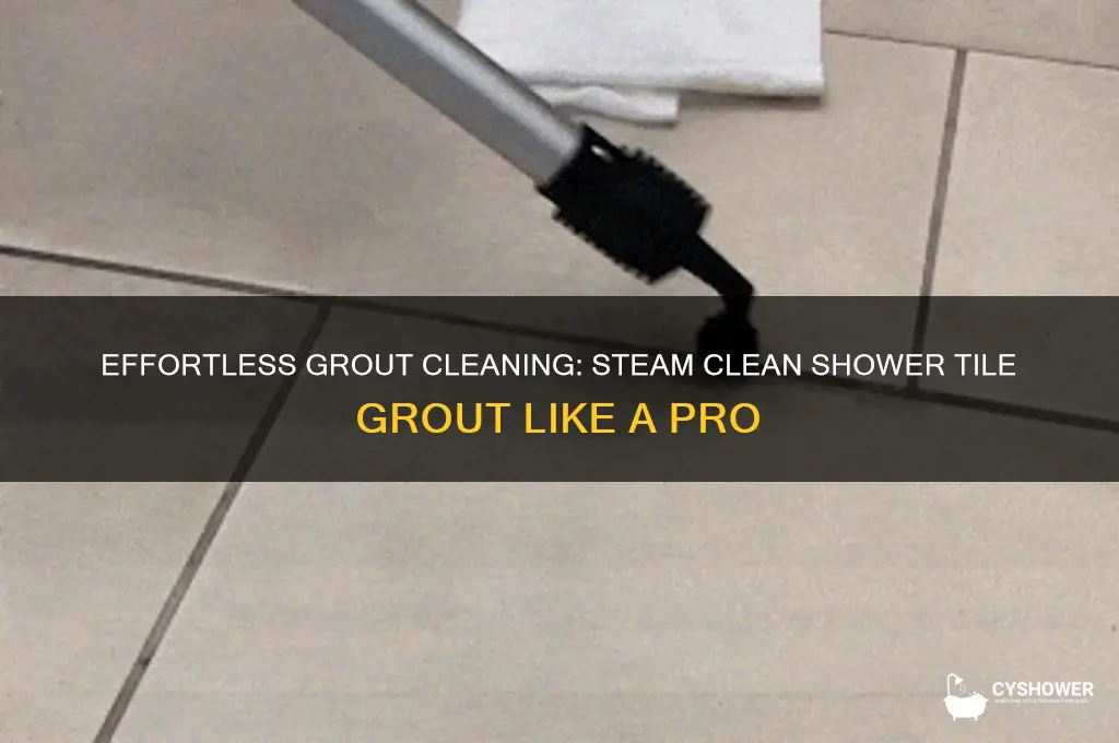 how to steam clean shower tile grout