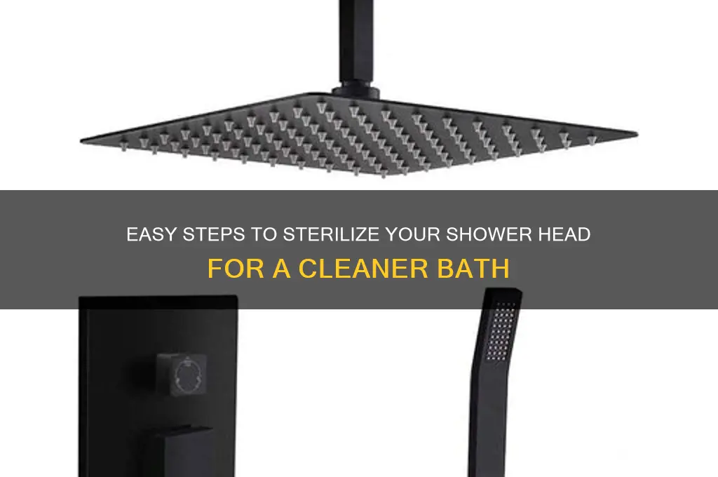 how to sterilise a shower head