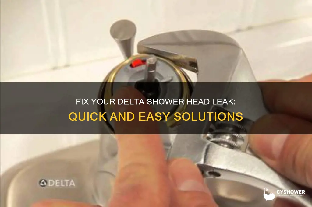 how to stop a delta shower head from leaking