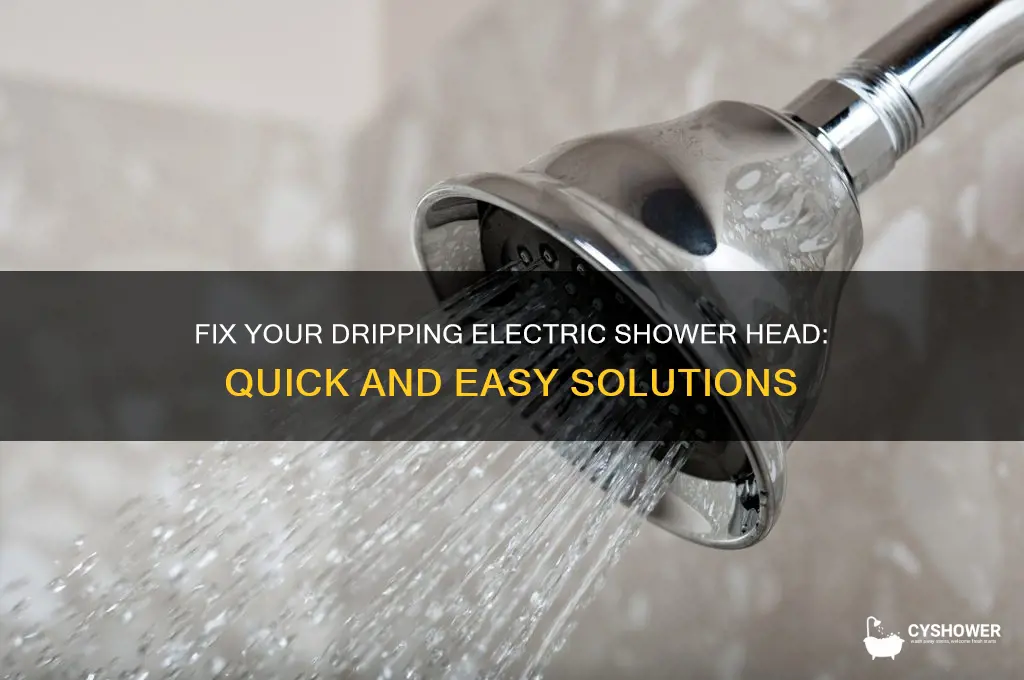 how to stop a dripping electric shower head